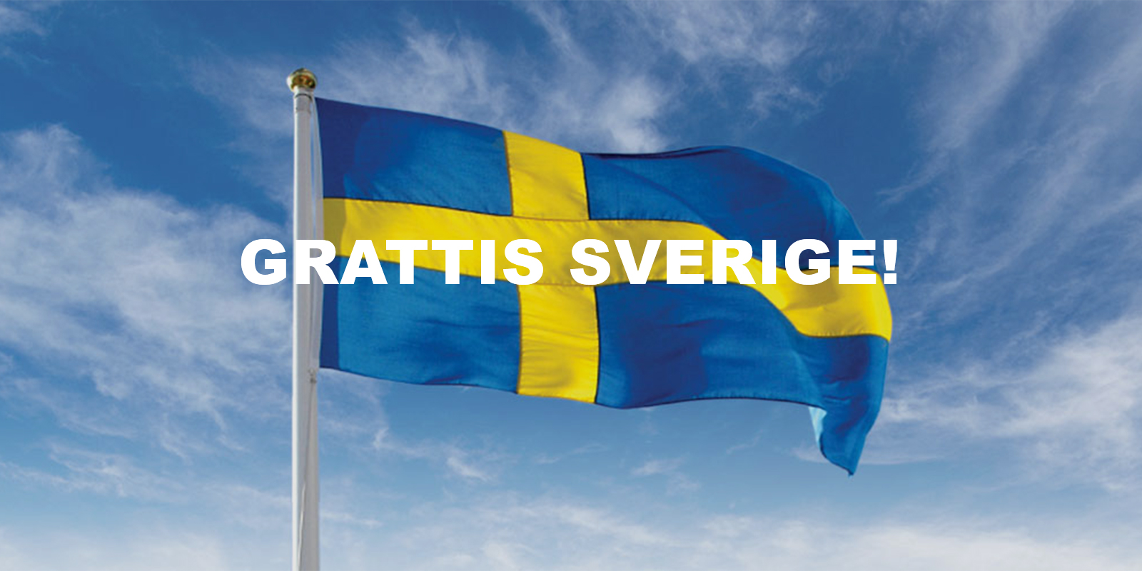 Sveriges Nationaldag 6:e juni